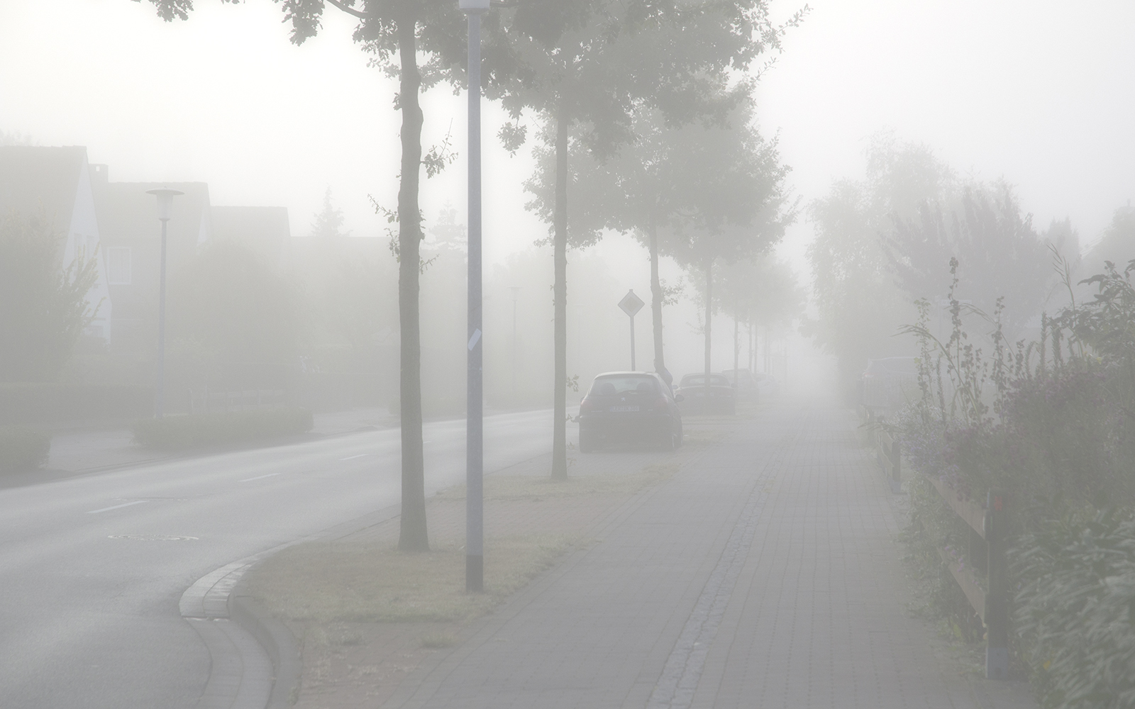 Nebel 001 1600